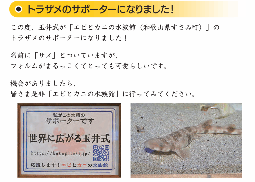 玉井式が和歌山県すさみ町の「エビとカニの水族館」のトラザメのサポーターになったことをお知らせする画像。サポーター証明書とトラザメの写真も掲載しています。