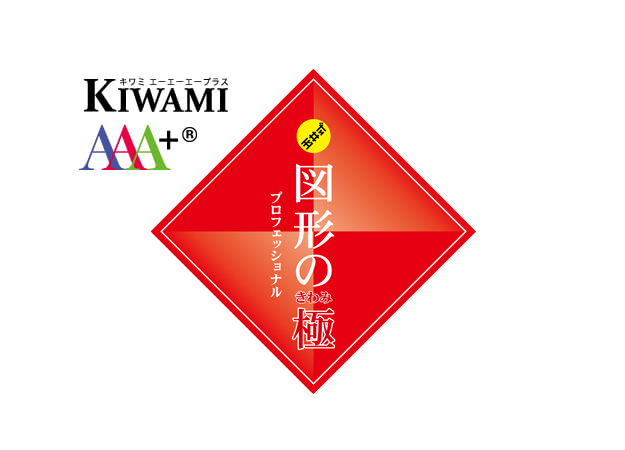 KIWAMI AAA+® 図形の極®