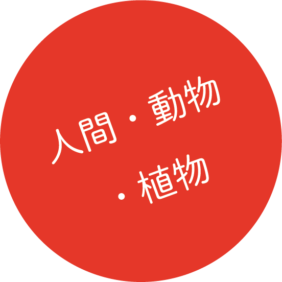 人間・動物・植物の例題