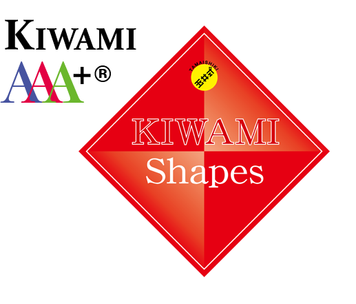 KIWAMI AAA+ 図形の極®